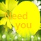 Needyou