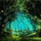 Fairy Forest