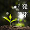 発芽