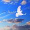 Flying Away