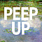 PEEP UP