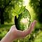 Heartbeat of the Earth