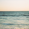 海からの贈りもの