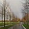 rain & rainbow