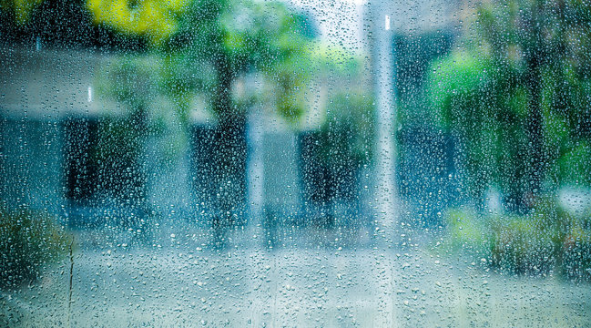 Rainy Season