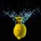 STARDUST LEMON