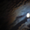 Blue Moon