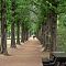Winter Strolling Path