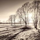 Fragments of Memory