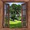 Tree Outside The Window