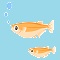 水辺の生き物