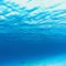 Oceanic Glow