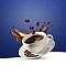 Coffee Spill Swing