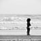 girl and whale
