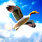 Rise of the Fabulous Duck