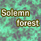Solemn forest