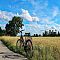 August Cycles