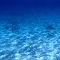BGM - 080 - Drift Of The Tide