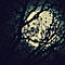 Deep moon