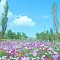 Healing Space