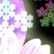 雪月花