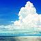 the sea wind