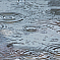 雨宿り