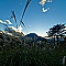 華の峠