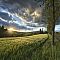 Someday Scenery