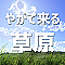 やがて来る草原