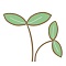 Plants grow