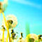 Memories of the sky