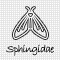 Sphingidae