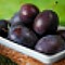 Prune
