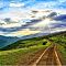 Sunny Road