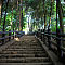 公園、木漏れ日、山登り。