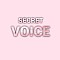 Secret Voice