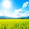 The Summer That Slipped Away