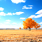 Beautiful autumn day
