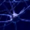 Brain Fight