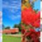 Seasons of love