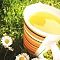 chamomile
