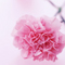 for you