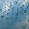 Rainy