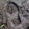 Footprints of My Life