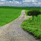To continue the road