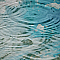 Rainy