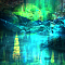 memory forest