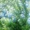 under the tree