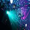 Night Light
